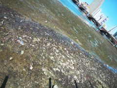 schmutziger Fluss Recife