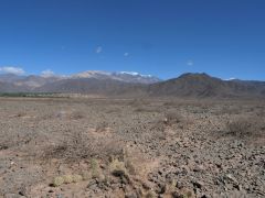 Zwischen Cachi und Salta