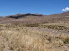 Zwischen Cachi und Salta