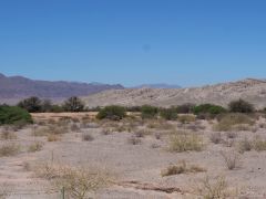 Zwischen Cafayate und Cachi