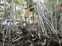 Ushuaia Waldsiedlung
