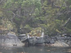 Regen in der Caleta Luis