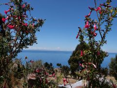 Titicaca Taquile