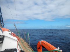 46 11 12 Mittagsstimmung