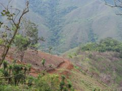 Zwischen Zaruma und Vilcabamba