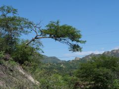 Vilcabamba Valle de Quinara