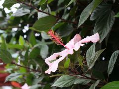 Zwischen Cuenca Alausi