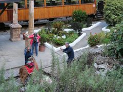 Zugfahrt Teufelsnase