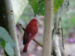 078 Cabañas San Isidro