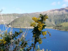 Cuicocha Kraterlagune