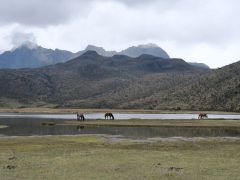 Cotopaxi Nationalpark
