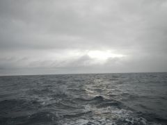 Sonnenaufgang am 5. 2.