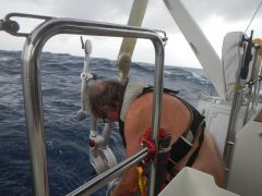 Kontrolle unserer Windsteueranlage Peterli