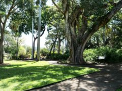 Honolulu Foster Botanic Garden