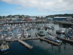 Kodiak Harbor