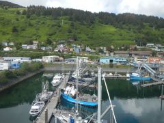 Kodiak Harbor