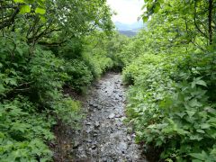 Kodiak der Weg ist auch ein Bach