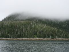 McCarty Fjord
