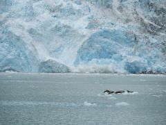 Northwestern Gletscher