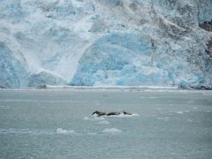 Northwestern Gletscher