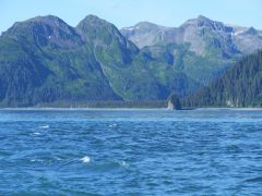 Strömung in der Northwestern Passge