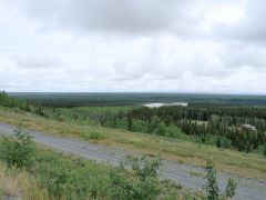 zwischen Delta Junction und Glennallen