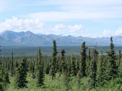 zwischen Glennallen und Palmer