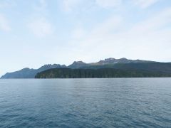 Resurrection Bay