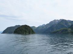 Resurrection Bay