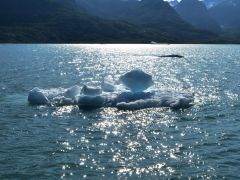 Eisscholle Columbia Bay