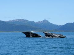 Eisschollen Columbia Bay