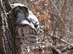 Lac de la Brèche Wallis