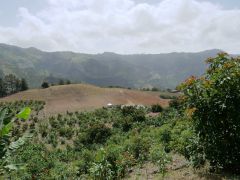 Zwischen San Jose de Ocoa und Constanza