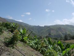 Zwischen San Jose de Ocoa und Constanza