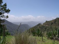 Zwischen San Jose de Ocoa und Constanza