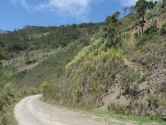 Zwischen San Jose de Ocoa und Constanza