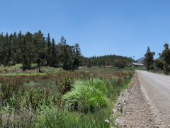 Zwischen San Jose de Ocoa und Constanza