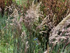 Zwischen San Jose de Ocoa und Constanza