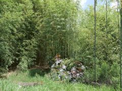 Zwischen San Jose de Ocoa und Constanza