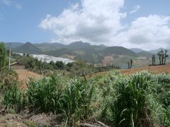 Zwischen San Jose de Ocoa und Constanza