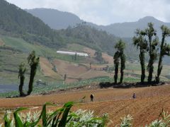 Zwischen San Jose de Ocoa und Constanza