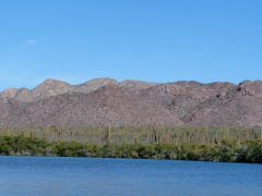 Bahia Amortajada Mangroven und Kakteen