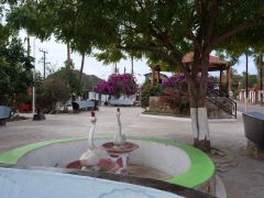 Mulege