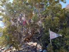 Caleta San Juanico Cruisers Shrine