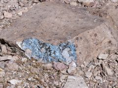 Cascada de Bassaseachic