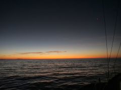 Venus am Morgenhimmel