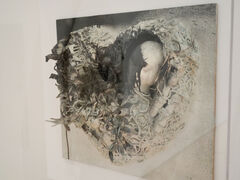 MCASD Niki de Saint Phalle