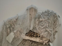 MCASD Niki de Saint Phalle