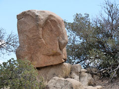 Joshua Tree Nationalpark