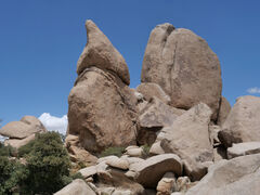 Joshua Tree Nationalpark